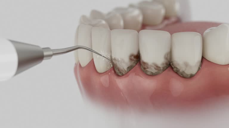 Reliable Dental contractor in Preston, ID by Dentist Open Now